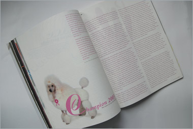 Zeitschriftenkonzept Artikel